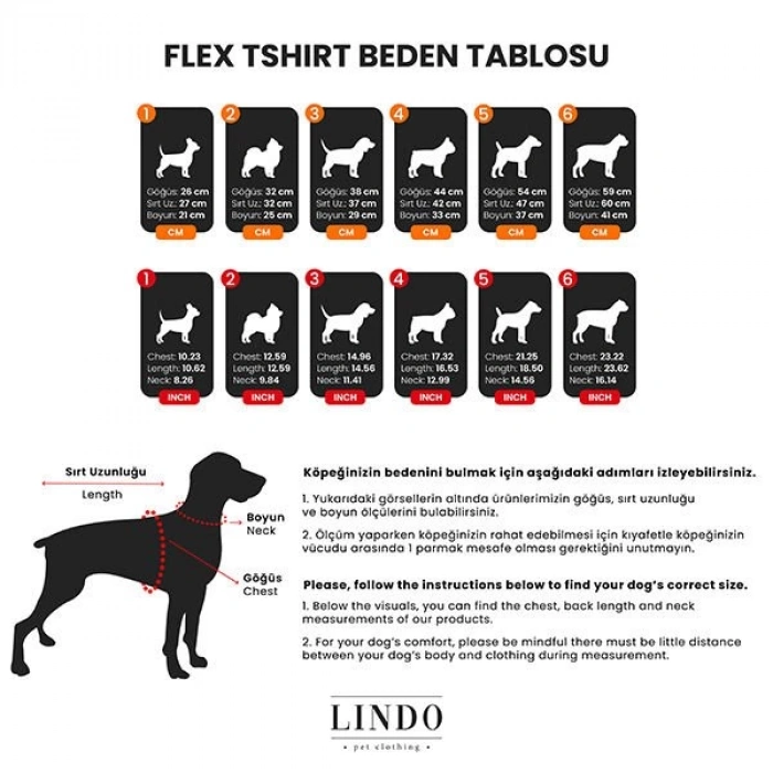 Lindo Dogs Make Today Amazing Köpek Kıyafeti Tshirt Yeşil Beden 2