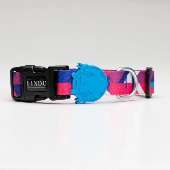 Lindo Dogs Pink Dream Köpek Boyun Tasması Renkli Large