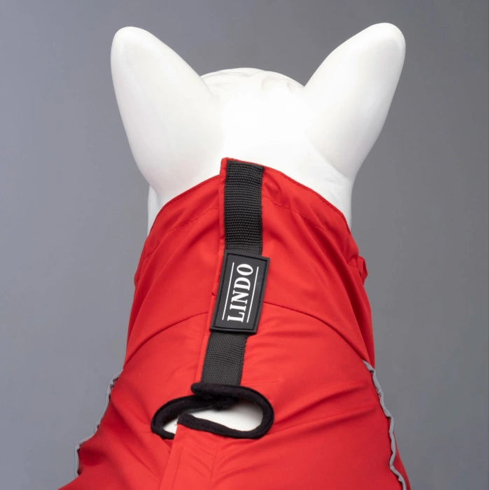 Lindo Dogs Quattro Nova Köpek Yağmurluğu Kırmızı Beden 7