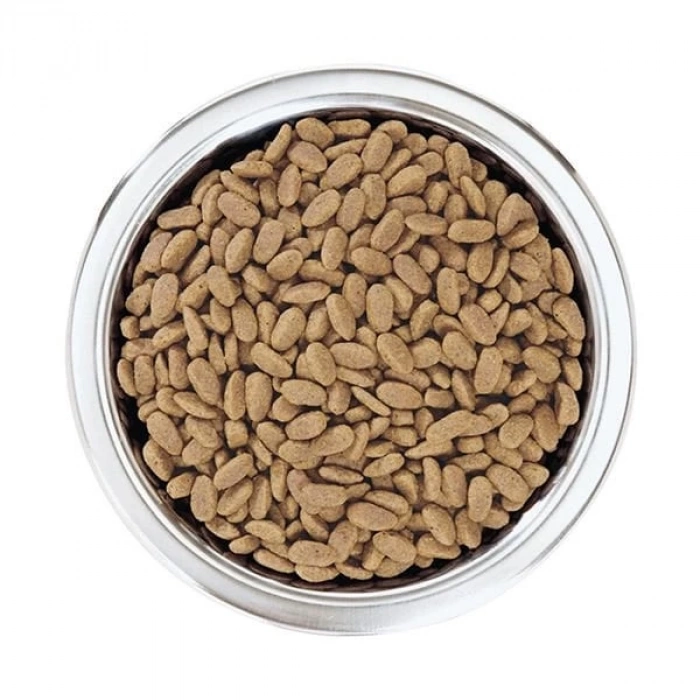 Pro Plan Adult Small Somonlu Yetişkin Köpek Maması 3 Kg