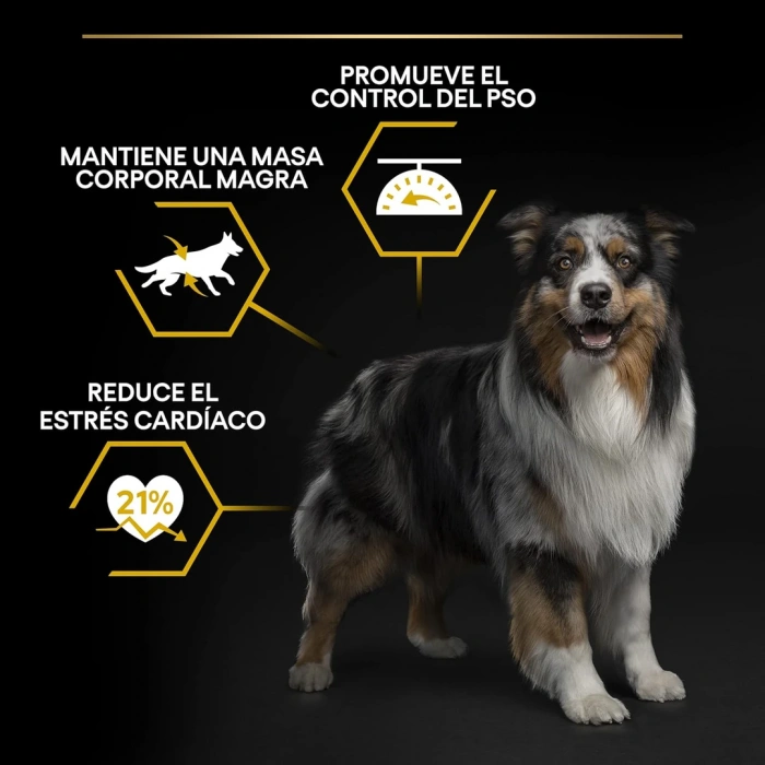 Pro Plan Light Sterilised Beyaz Balıklı Kısırlaştırılmış Yetişkin Köpek Maması 14 Kg