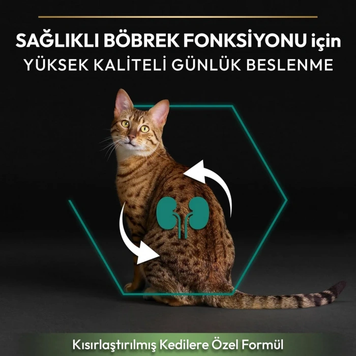 Pro Plan Sterilised Somonlu Kısırlaştırılmış Kedi Maması 10+2 Kg