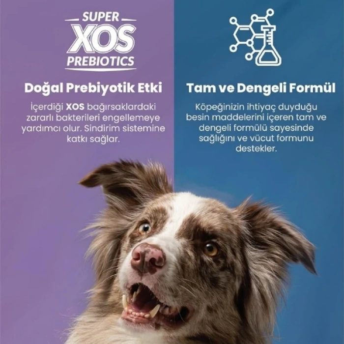 Reflex Plus Adult Somonlu Küçük Irk Yetişkin Köpek Maması 3 Kg