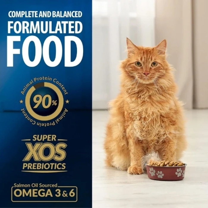 Reflex Plus Adult Somonlu Yetişkin Kedi Maması 15 Kg