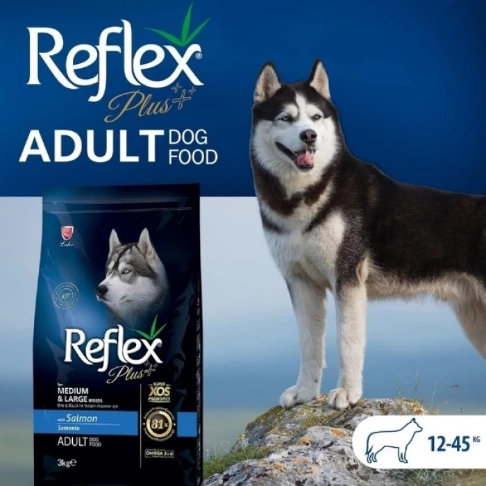 Reflex Plus Adult Somonlu Yetişkin Köpek Maması 15 Kg