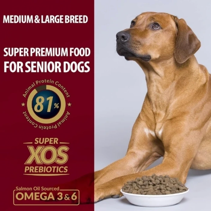 Reflex Plus Kuzulu Orta ve Büyük Irk Yaşlı Köpek Maması 15 Kg