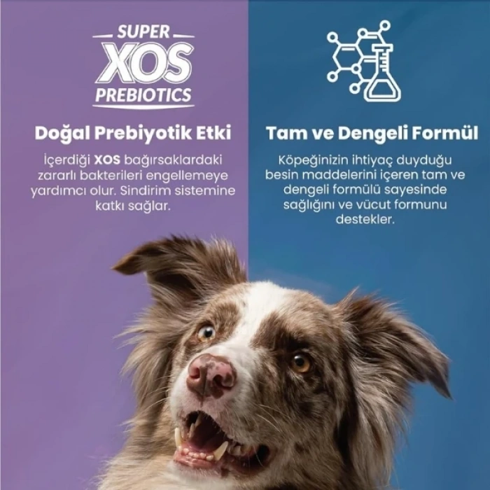 Reflex Plus Kuzulu Orta ve Büyük Irk Yaşlı Köpek Maması 15 Kg