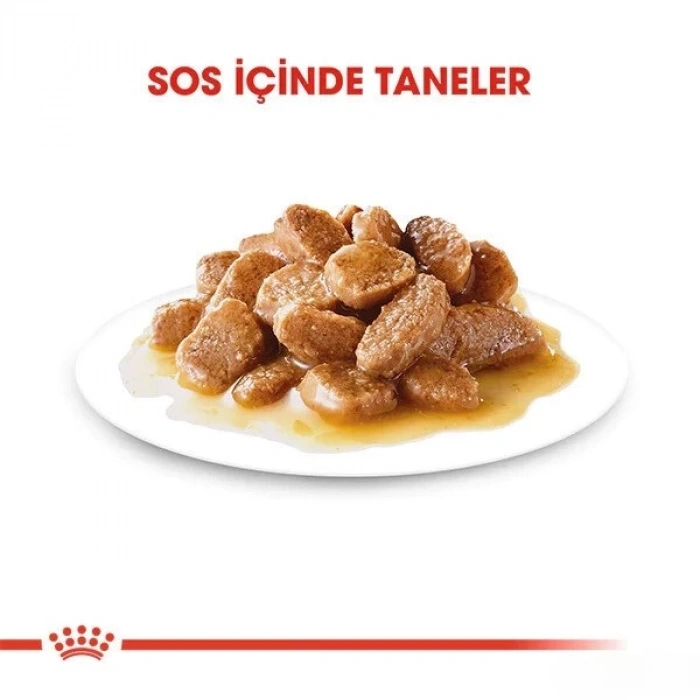 Royal Canin Adult Mini Gravy Pouch Köpek Konserve Maması 85 Gr