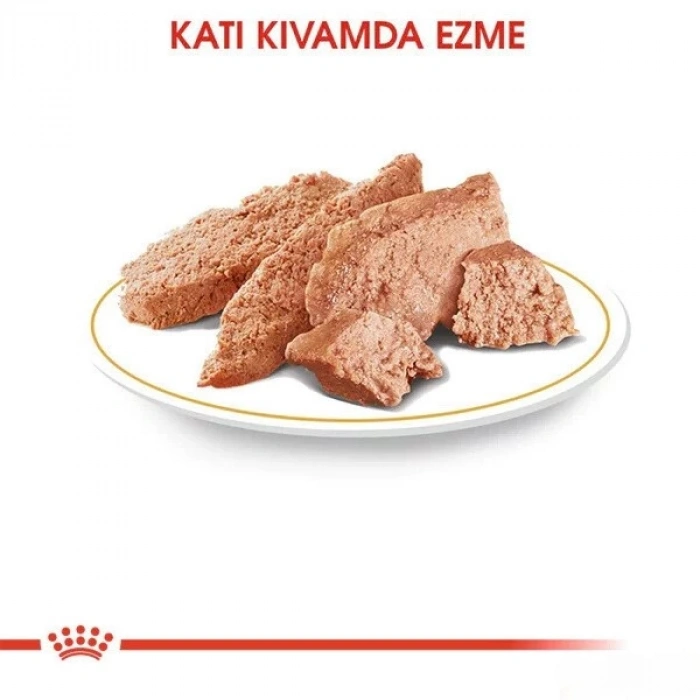 Royal Canin Chihuahua Adult Pouch Köpek Maması 85 Gr