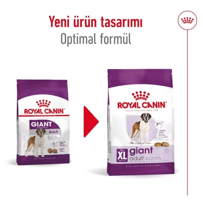 Royal Canin Giant Adult Dev Irk Yetişkin Köpek Maması 15 Kg