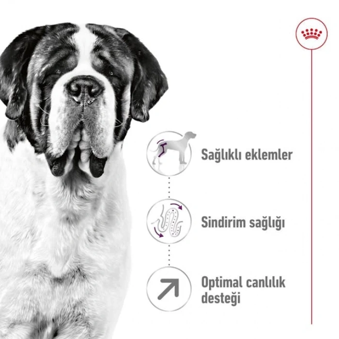 Royal Canin Giant Adult Dev Irk Yetişkin Köpek Maması 15 Kg