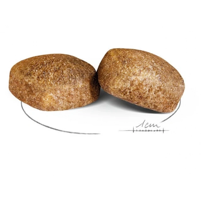 Royal Canin Giant Adult Dev Irk Yetişkin Köpek Maması 15 Kg