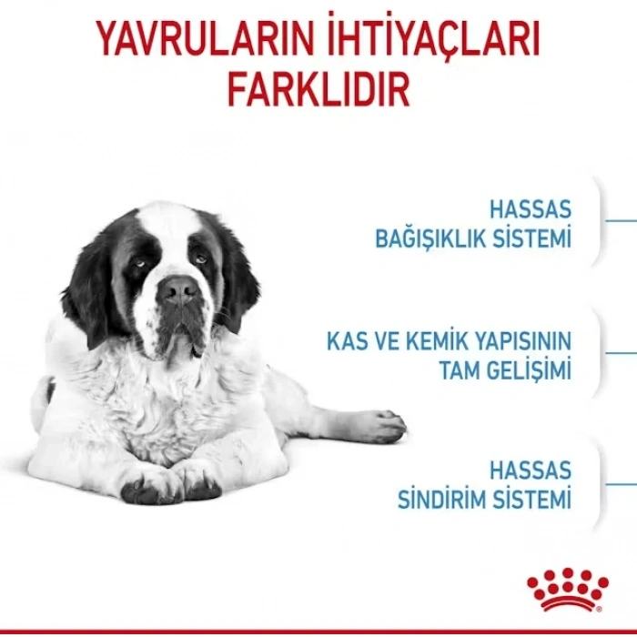 Royal Canin Giant Junior Dev Irk Yavru Köpek Maması 15 Kg