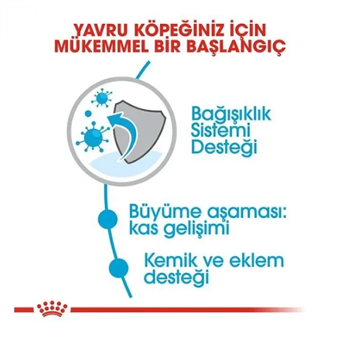 Royal Canin Giant Junior Dev Irk Yavru Köpek Maması 15 Kg