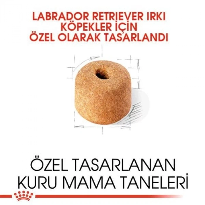Royal Canin Labrador Retriever Yetişkin Köpek Maması 12 Kg