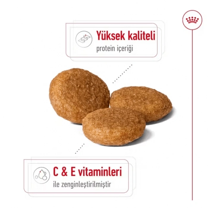 Royal Canin Medium Adult Yetişkin Köpek Maması 15 Kg