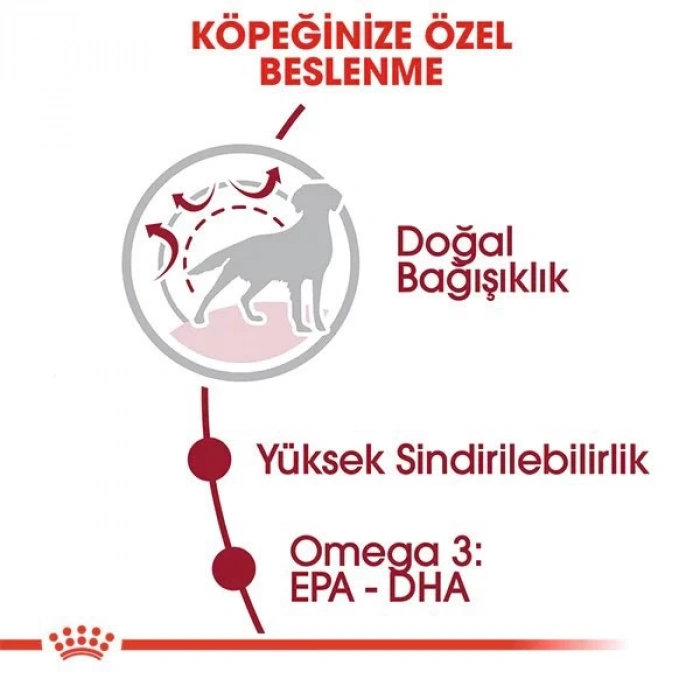 Royal Canin Medium Adult Yetişkin Köpek Maması 15 Kg