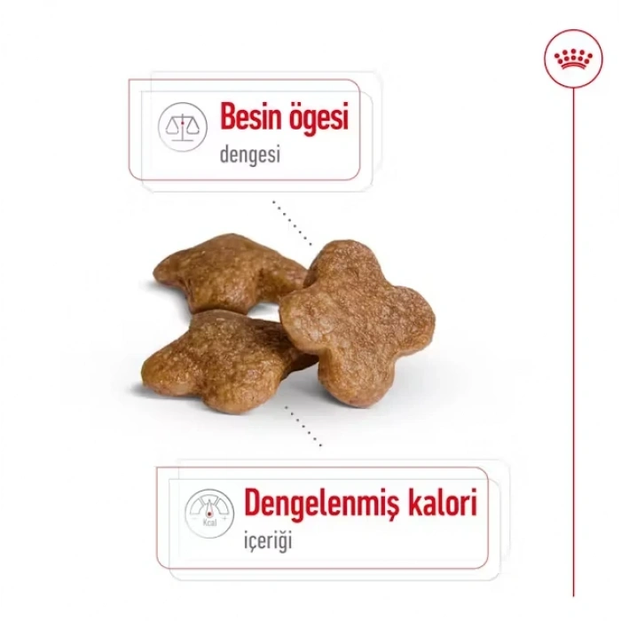 Royal Canin Mini Adult 8+ Küçük Irk Yaşlı Köpek Maması 2 Kg