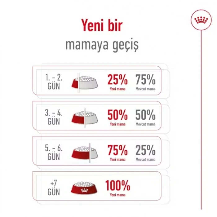 Royal Canin Mini Adult 8+ Küçük Irk Yaşlı Köpek Maması 2 Kg