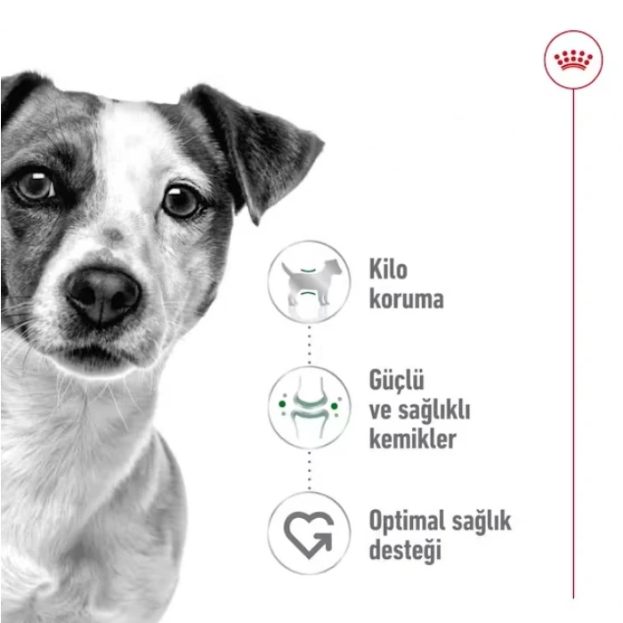 Royal Canin Mini Adult Küçük Irk Yetişkin Köpek Maması 2 Kg