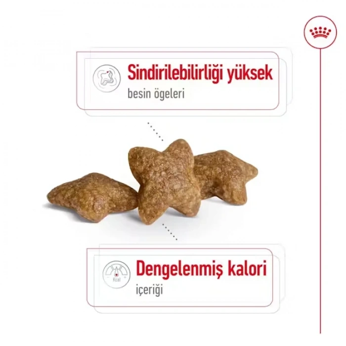 Royal Canin Mini Adult Küçük Irk Yetişkin Köpek Maması 2 Kg
