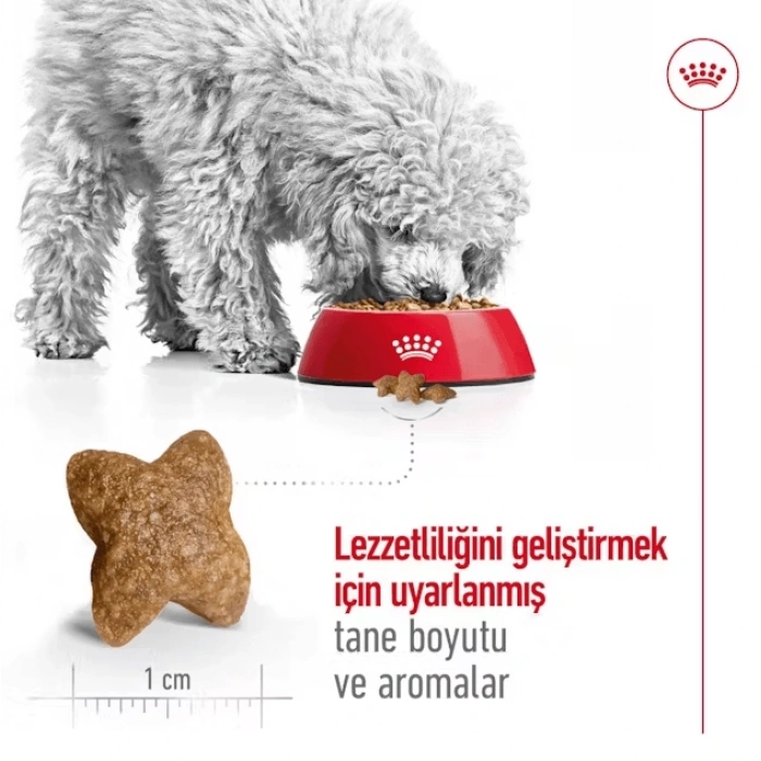 Royal Canin Mini Adult Küçük Irk Yetişkin Köpek Maması 2 Kg