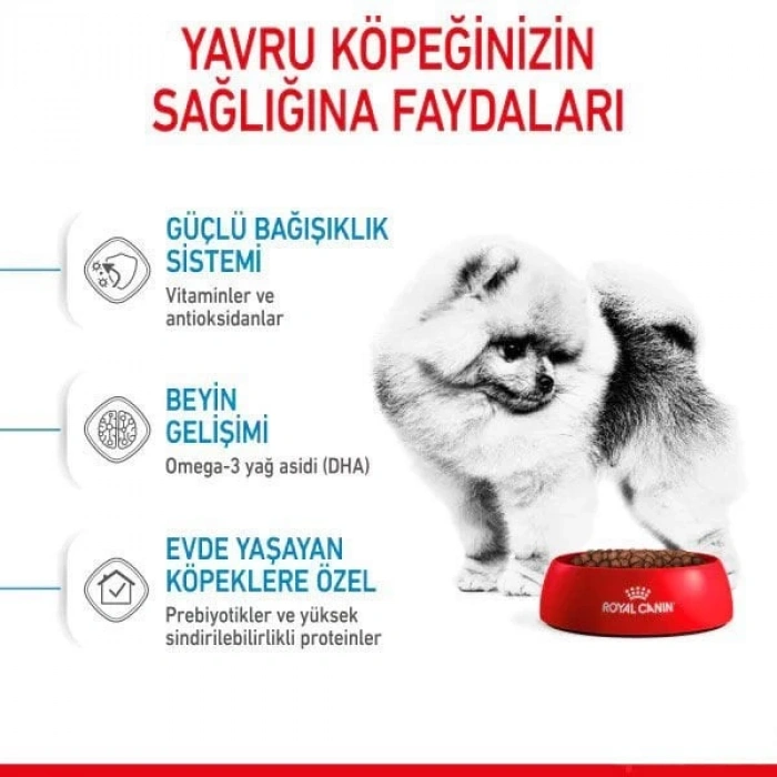 Royal Canin Mini İndoor Puppy Yavru Köpek Maması 1.5 Kg