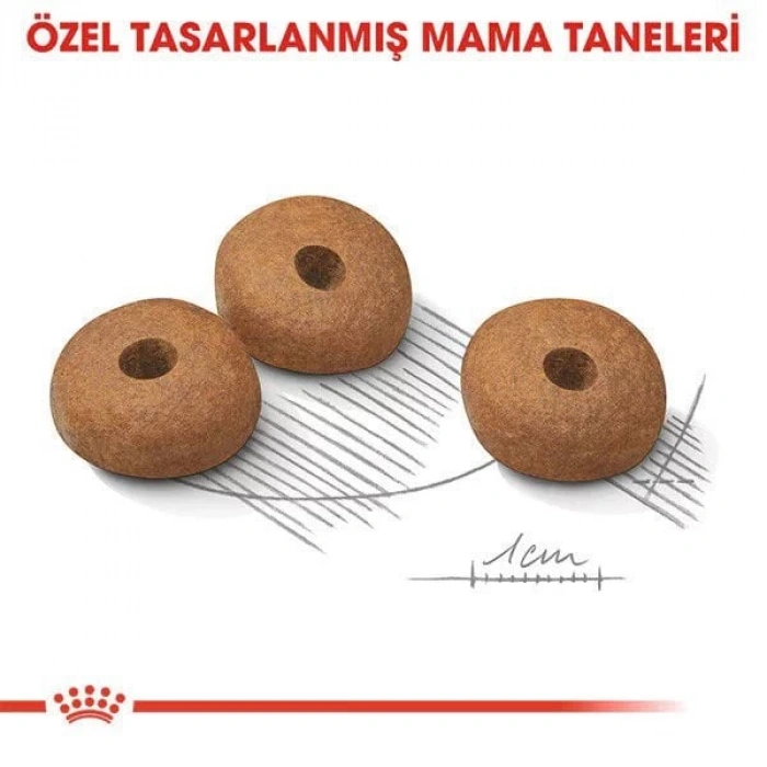 Royal Canin Mini Light Care Diyet Yetişkin Köpek Maması 3 Kg