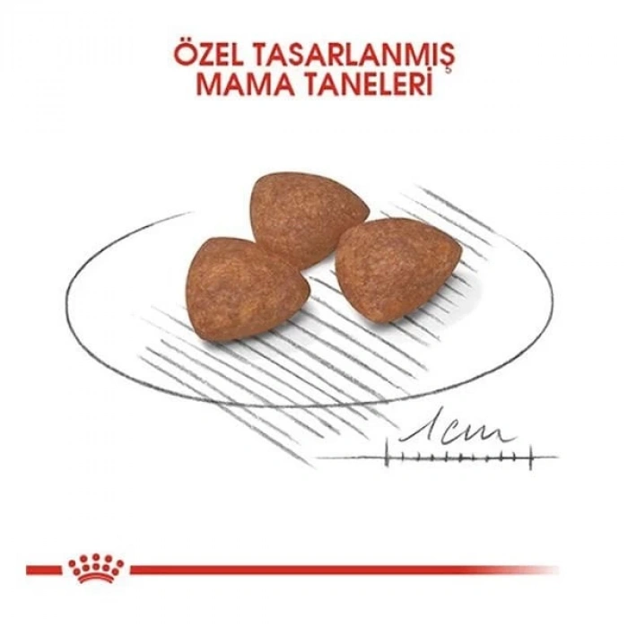 Royal Canin Mini Puppy Küçük Irk Yavru Köpek Maması 4 Kg