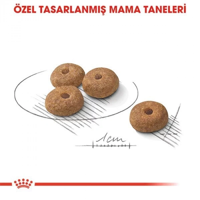 Royal Canin Mini Sterilised Yetişkin Kısırlaştırılmış Köpek Maması 3 Kg