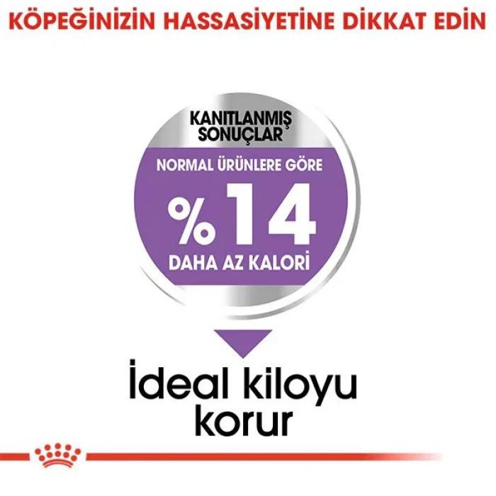 Royal Canin Mini Sterilised Yetişkin Kısırlaştırılmış Köpek Maması 3 Kg