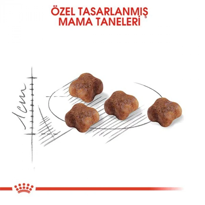 Royal Canin Mother Babycat Anne ve Yavru Kedi Maması 2 Kg