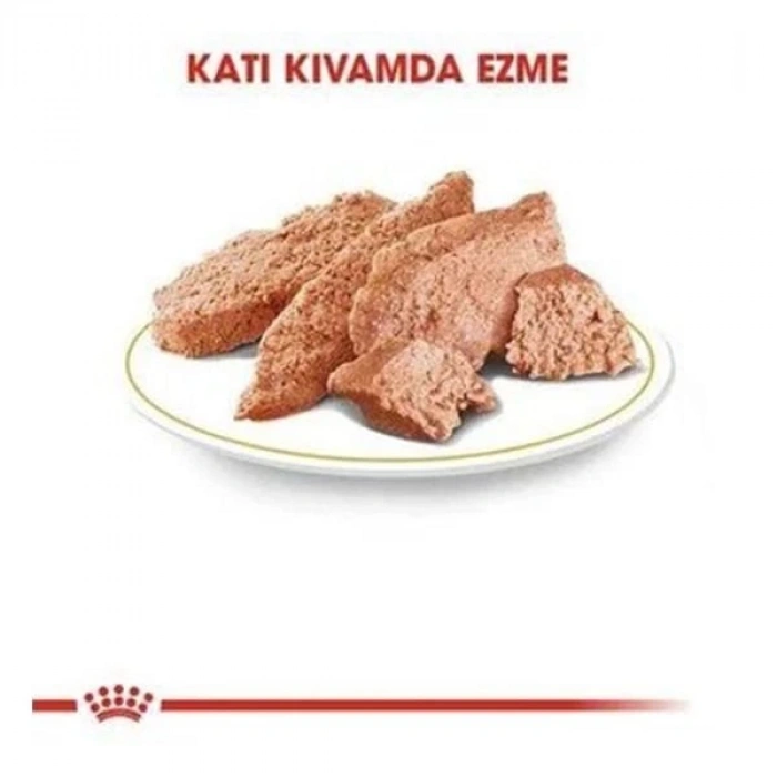 Royal Canin Persian Adult İran Kedisi Pouch Konserve Kedi Maması 85 Gr