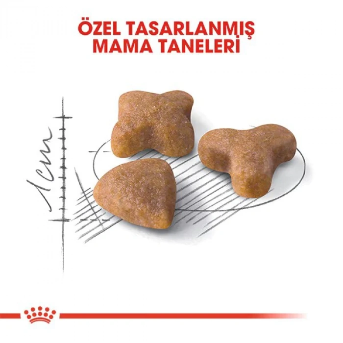 Royal Canin Sensible 33 Hassas Yetişkin Kedi Maması 4 Kg