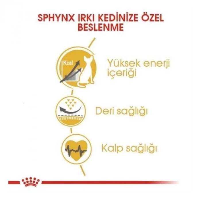 Royal Canin Tüysüz Sphynx Cinsi Yetişkin Kedi Maması 2 Kg