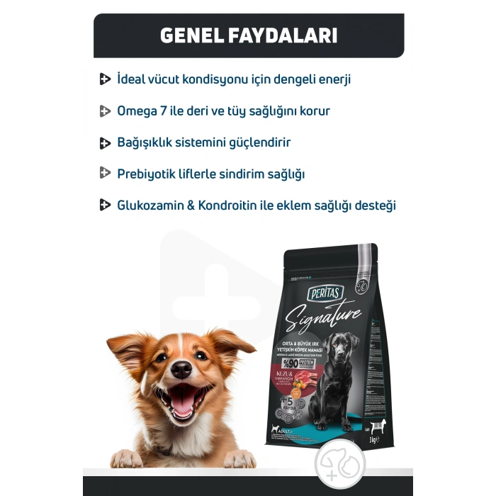 Signature Kuzulu Orta ve Büyük Irk Yetişkin Köpek Maması 3 Kg