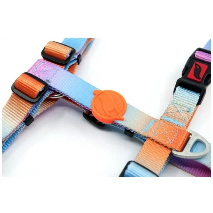 Tailpetz Pass Desenli Köpek Göğüs Tasması Xsmall 20-34x23-38 Cm