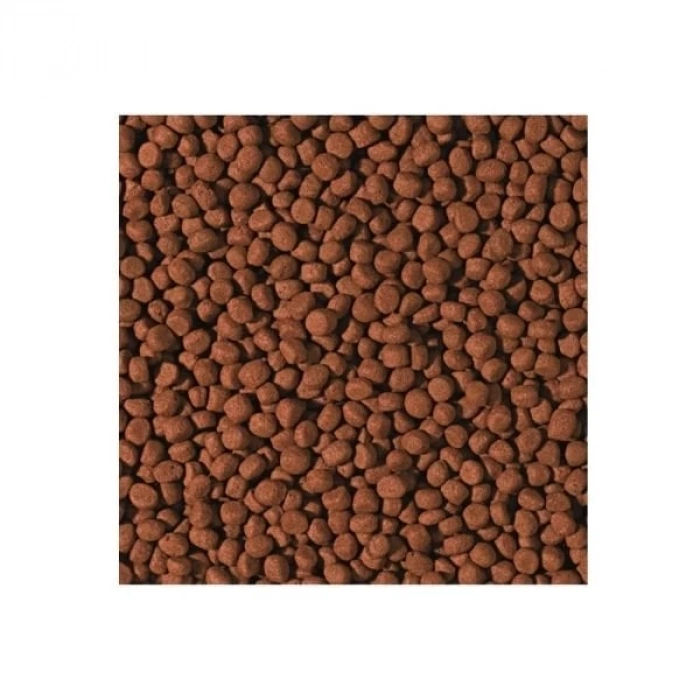 Tropical Cichlid Carnivore Pellet Etobur Cichlid Balıkları için Renklendirici Balık Yemi Medium 250 Gr