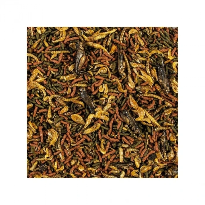 Tropical Softline Carnivore Büyük Yırtıcı Balıklar için Çubuk Balık Yemi 1000 Ml 320 Gr