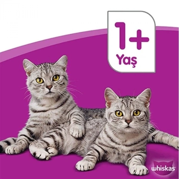 Whiskas Tavuklu ve Sebzeli Yetişkin Kedi Maması 300 Gr