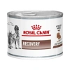 Royal Canin Kedi Köpek Recovery Konserve Yaş Mama 195 Gr