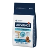 Advance Adult Medium Tavuklu Orta Irk Yetişkin Köpek Maması 14 Kg
