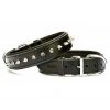Doggie Comfort Deri Çivili Köpek Boyun Tasması Large Siyah 3.5x52-60 Cm