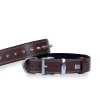 Doggie Comfort Deri Çivili Köpek Boyun Tasması Medium Kahverengi 3x42-50 Cm