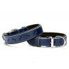 Doggie Comfort Deri Kemik Desenli Köpek Boyun Tasması Medium Mavi 2.5x37-45 Cm