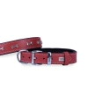 Doggie Comfort Deri Kemik Süslü Köpek Boyun Tasması Medium Kırmızı 2.5x37-45 Cm