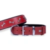Doggie Comfort Deri Kemik Süslü Köpek Boyun Tasması Small Kırmızı 4x47-55 Cm
