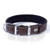 Doggie Comfort Deri Nazar Boncuklu Köpek Boyun Tasması Medium Kahverengi 3x42-50 Cm