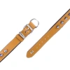 Doggie Comfort Deri Nazar Boncuklu Köpek Boyun Tasması Small Camel 4x47-55 Cm