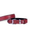Doggie Comfort Deri Pati Desenli Köpek Boyun Tasması Medium Kırmızı 3x42-50 Cm